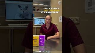 Зачем нужна вакцинация для животных? 🐶