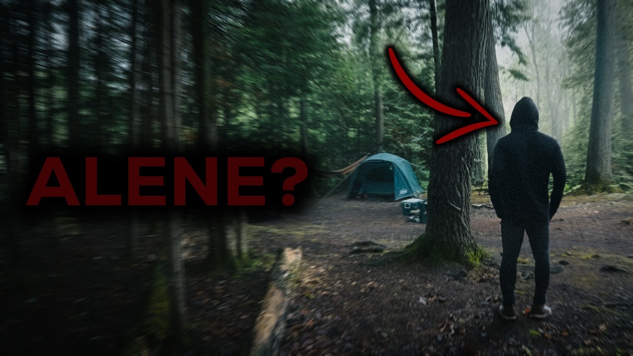 5 HELT Sanne Historier Som Skjedde i SKOGEN