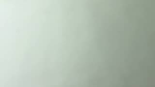 IMG 0916