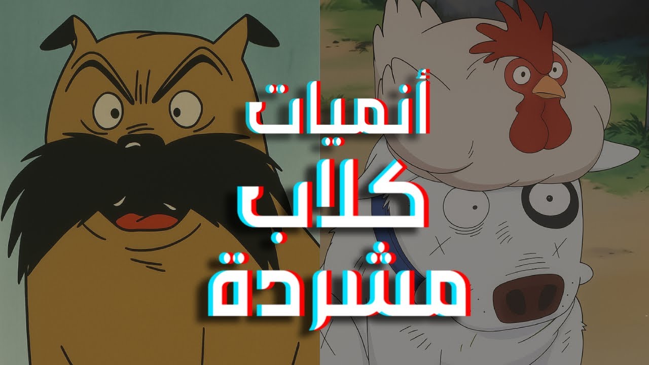 انميات كلاب مشردة