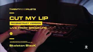 Twenty one pilots: Cut My Lip [Reconstruct version] Audio