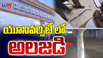 సీమ వర్సిటీలో ఇదేం సీన్? | Rayalaseema University Students Attempts At*tack On Classmate | TV5 News