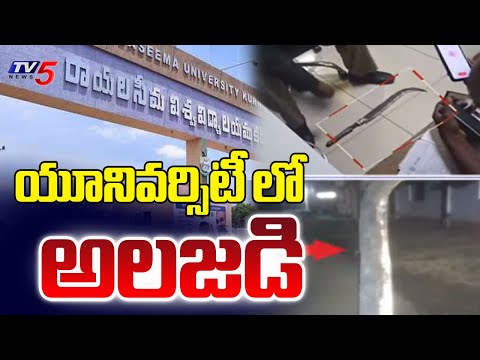 సీమ వర్సిటీలో ఇదేం సీన్? | Rayalaseema University Students Attempts At*tack On Classmate | TV5 News