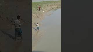 Caught ing fish #shorts #shortsvideo #travel