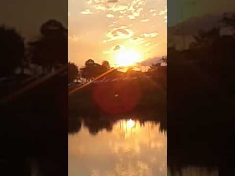 Por do sol no jardim botânico em londrina suave