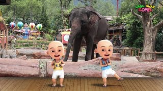 Mengenal Nama Binatang Khas Indonesia di Taman Safari Bogor Bersama Upin Ipin Lagu Anak Indonesia