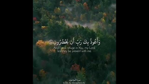 (وَقُل رَّبِّ أَعُوذُ بِكَ مِنْ هَمَزَٰتِ ٱلشَّيَٰطِينِ) القارئ اسلام صبحي ✨