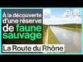 Ref:8CB9khBL34w Dans la r�serve de faune sauvage de donz�re-mondragon - la route du rh�ne �pisode 4