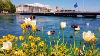 🌍 Discover Geneva – The City of Peace and Innovation!