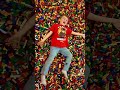BRICK FEST LIVE! LEGO Adventure! @LEGO @brickfestlive @RandomChance @LEGOMastersFOX
