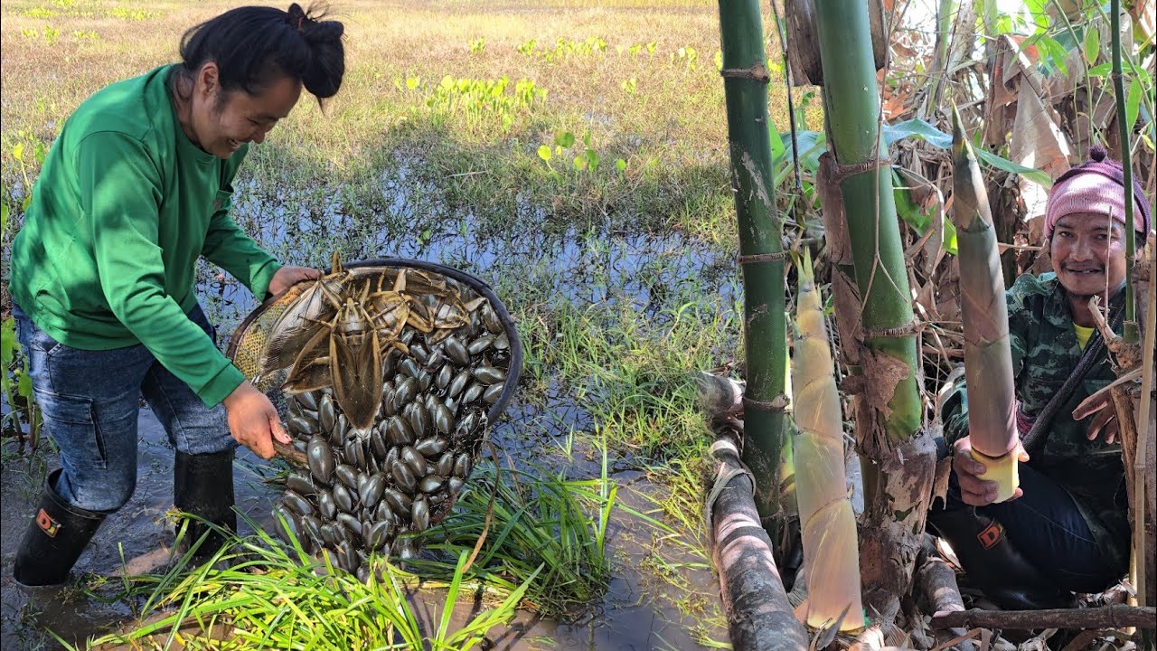 วิธีช้อนแมงตับเต่าแมงดานาในธรรมชาติ!! ลักษณะแหล่ง หมาย สภาพทำเล ช้อนยังไงให้หมานๆแบบนี้!! 19ม.ค2569