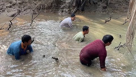 Mò Tôm Càng Xanh ở con kênh chất chà và món ăn quen thuộc | Cù Lao Dung Vlogs #348