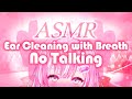 【ASMR/No talking】両耳耳かき耳ふー3時間ASMR♪【御桜奏音/PinkPunkPro】EarCleaning,Whispering,Earlicking,breath,Vtuber