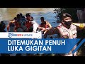 Detik detik Evakuasi Wanita yang Tewas Diterkam Buaya, Banyak Bekas Gigitan dan Luka di Perut