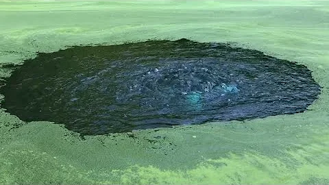 Pond aerator out of a sump pump 1/3 hp