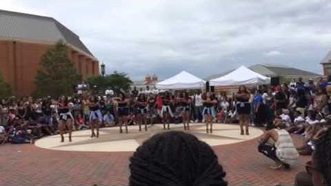 Yard Show Uncc