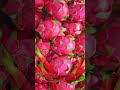#short/#youtubeshort/#fruit/#dragonfruit/#craving/#satisfying/#sweet/@emashelpinghand5729 🥰