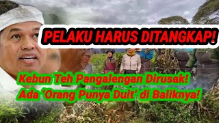 Download Lagu Dedi Mulyadi Geram! Desak Polisi Tangkap Perusak Kebun Teh Pangalengan — “Ada Orang Punya Duit!” MP3