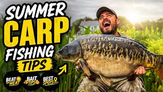 Catch More Carp This Summer | Venues, Rigs & Baits — Everything You Need To Know