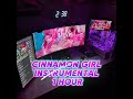 Cinnamon Girl Instrumental 1 Hour 