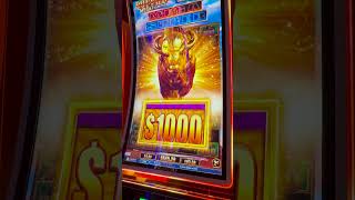 EXTRA BONUS IN THE BONUS PAYS HUGE