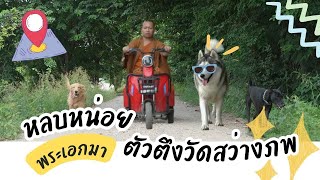 และนี่คือเสียงจาก ..ไซบีเรียนเด็กวัดสว่างภพ อ.คลองหลวง l EP.38 Pet lover by Jerhigh