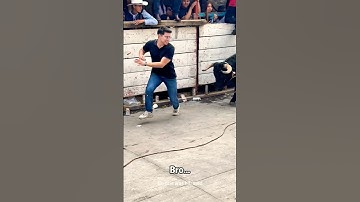 Sapi 🐮 #sapi #sapi #videosapi #banteng #lucu #celana pendek