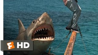 Jaws: The Revenge (7\/8) Movie CLIP - The Beast Comes Back (1987) HD