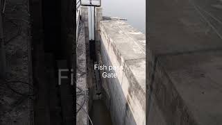 Fish pass Gate at parvathi Barrage Telangana