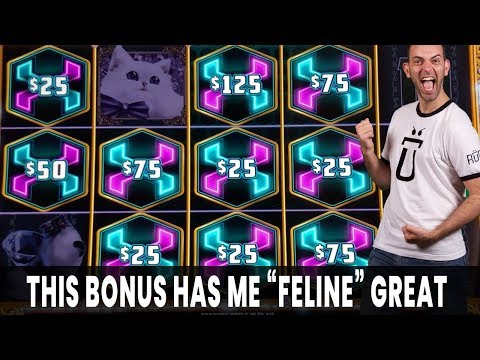 😻 This Bonus Has Me "Feline" Great - Get It? 🐲 🔗 More Dragon Link Happy & Prosperous
