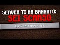 MI HANNO BANNATO in QUESTO SERVER MINECRAFT ITALIANO..