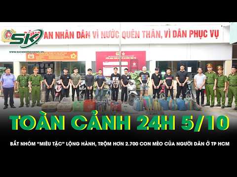 24H Overview 10/5: Rampant "Cat Thief" Ring Arrested for Stealing Over 2,700 Cats in Ho Chi Minh ...