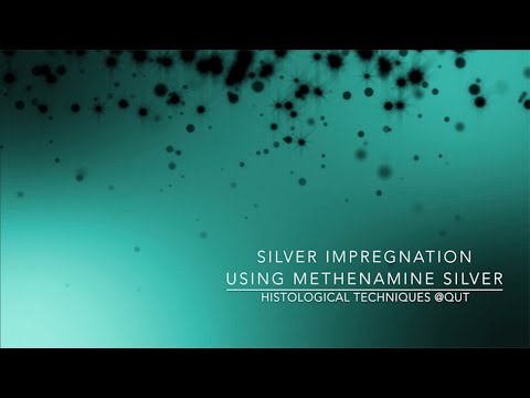 Video: Wat is zilverimpregnatietechniek?