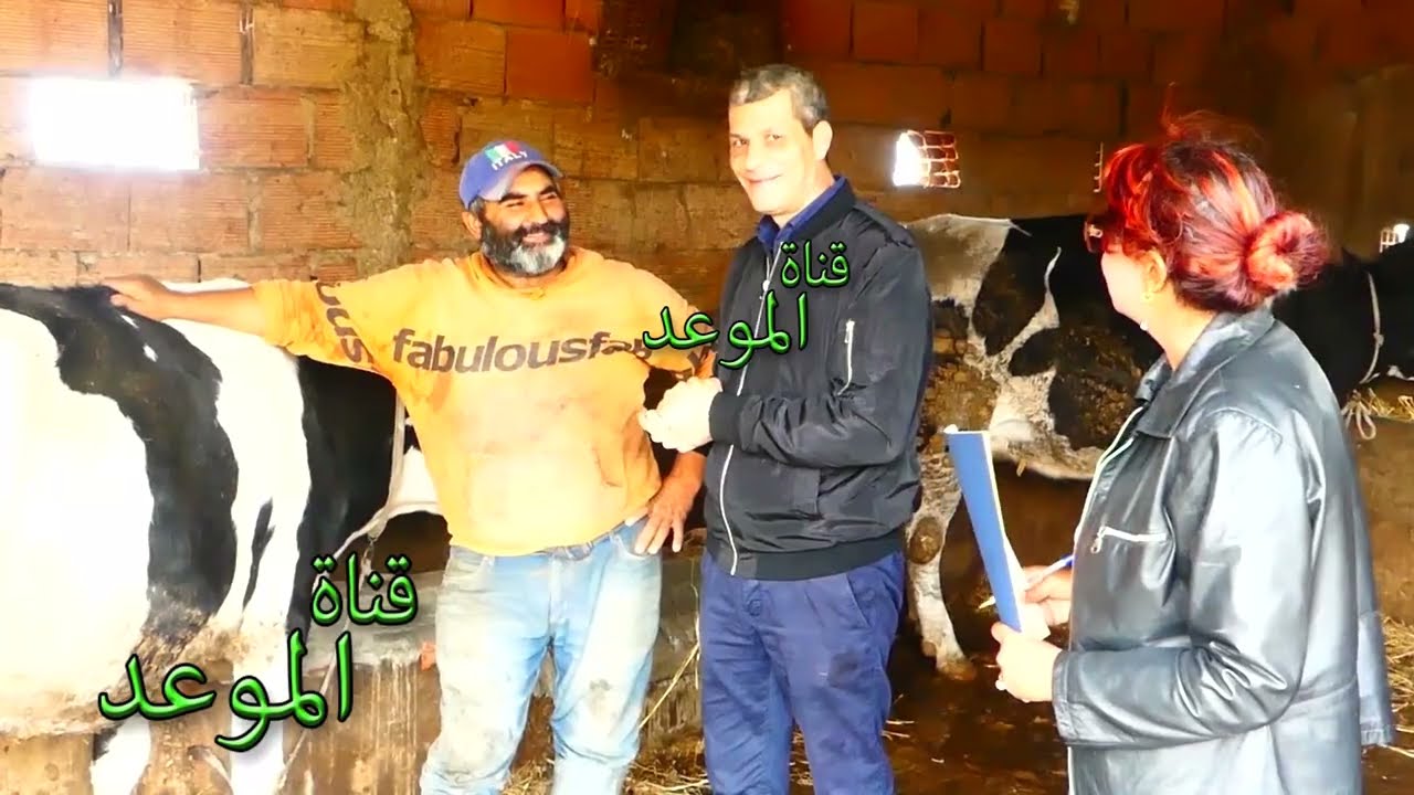 كاميرا خفية رمضان 2026 شبعة ضحك ، حبو يحصلوه في فلوس العلفة يلقو رواحهم مربوطين في الزريبة مع البقر 