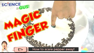 Experiment at home | How to scare pepper away | young scientist of the usa | experimentos