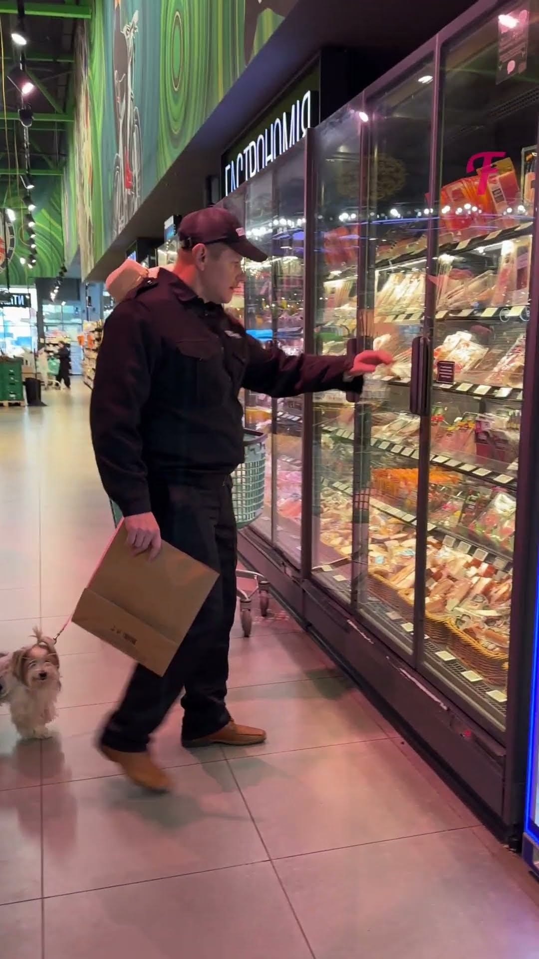 The Kindness She Deserved After Feeding a Lonely Dog #shorts