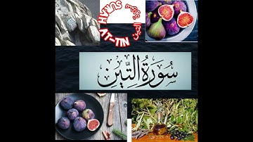Surah At-Tin سورة التين Audio Tilawat in Arabic with Urdu Translation|#best #video #islamic #allah
