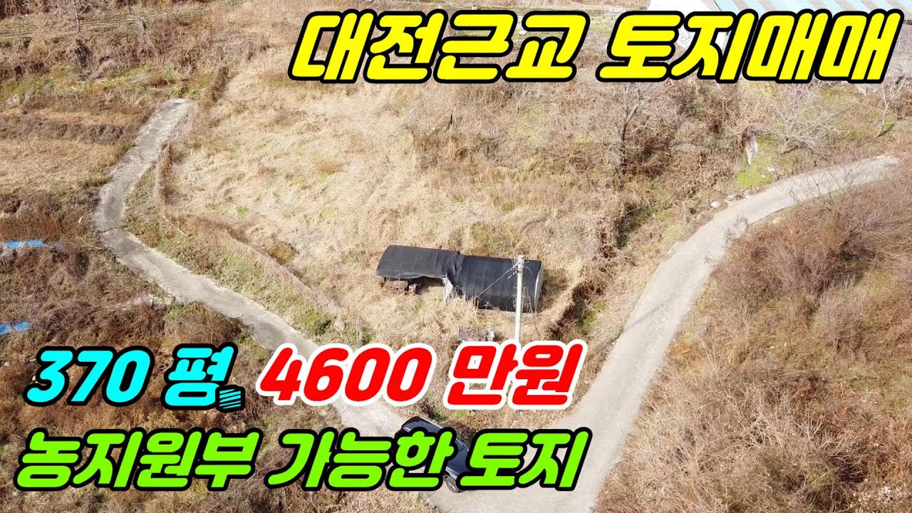 대전 토지매매 대전 안영동 뿌리공원 인근 강변뷰 도로변 토지매매