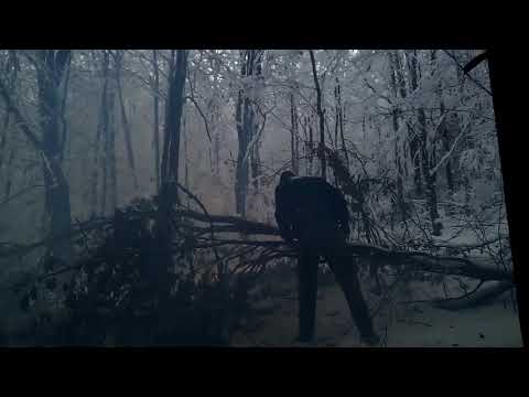 Another two aluminium foil/sulfur based blasts in Carpathians, fuels added (HMTA and wheat flour)