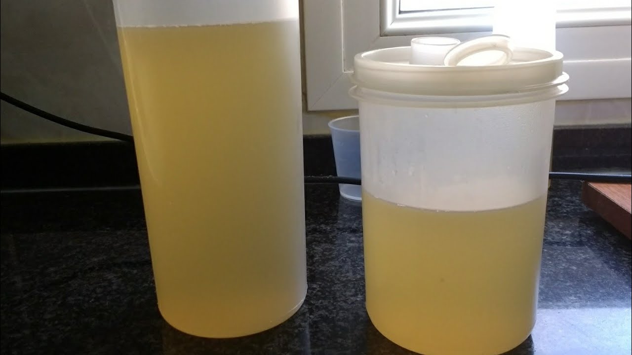 Fumet de pescado en olla GM G