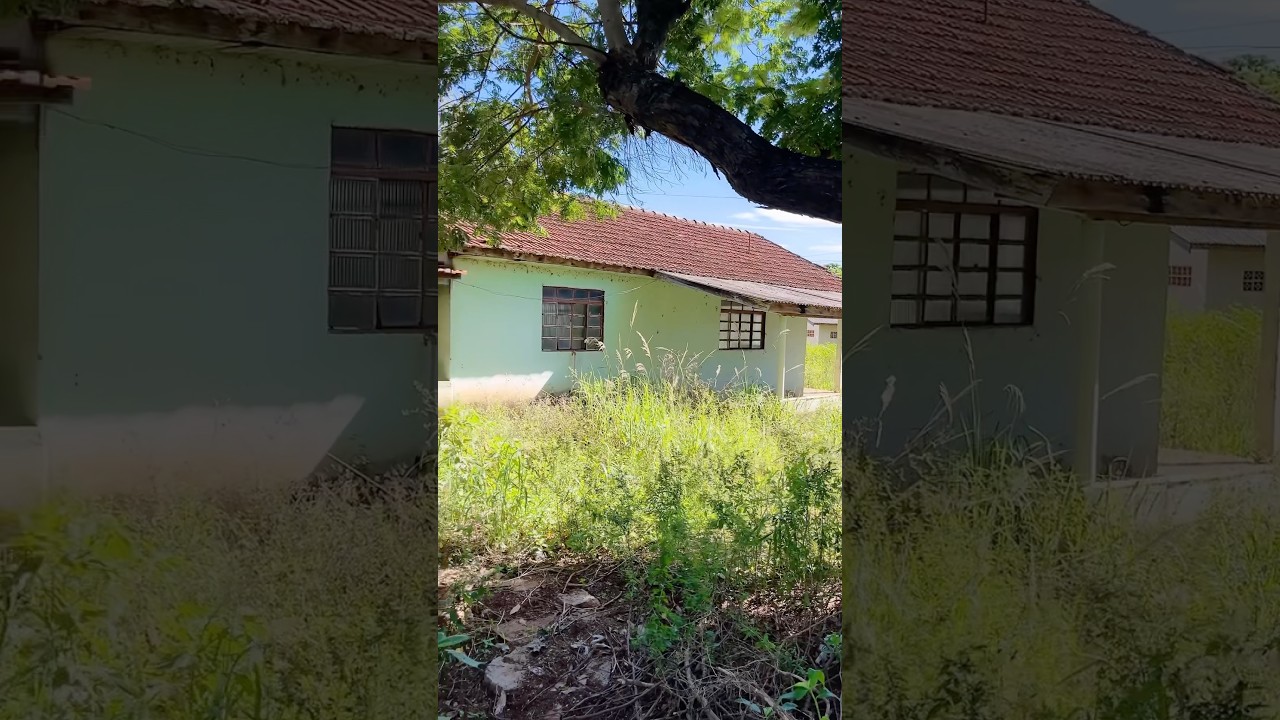 Está precisando de um caseiro aqui na fazenda #boiada #sitio #pecuarista #fazenda #mercadoagricola