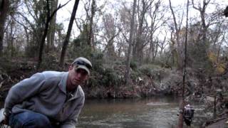 Catching shad in Winter Time Creeks