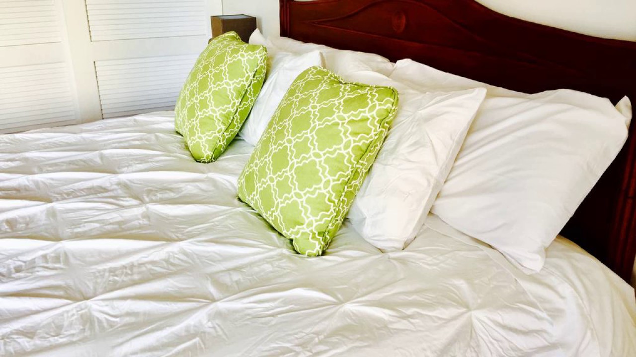 Waikiki Modern Studio - Honolulu - United States