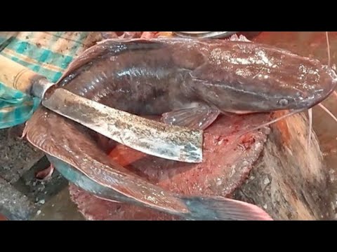 वीडियो: किसी भी ताज़ी मछली को ठीक से कैसे साफ़ करें