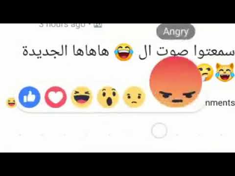 فية حد هنا سمع صوت هاهاها الجديد