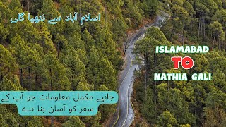 Let's Go to Nathia Gali | Islamabad to Nathia Gali Road Guide | Amazing Nathia Gali