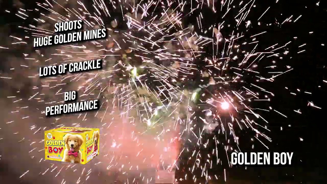 Golden Boy Fountain Firework - 500g Maximum Charge - Long Lasting - World Class Fireworks