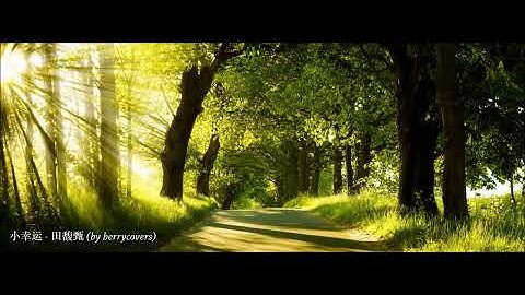[我的少女時代 Our Times] Movie Theme Song - 田馥甄 Hebe Tien《小幸運 A Little Happiness》by berrycovers