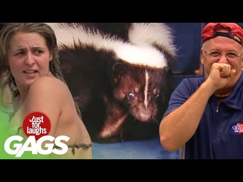 Best of Just For Laughs Gags - Best Skunk Pranks