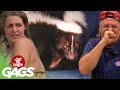 Best Skunk Pranks - Best of Just For Laughs Gags